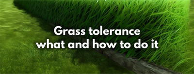 Grass tolerance: what and how to do it