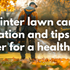 Winter lawn care: Preparation and tips on cold weather for a healthy lawn.