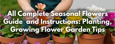 All Complete Seasonal Flowers Guide and Instructions: Planting, Growing Flower Garden Tips