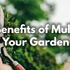 The Benefits of Mulching Your Garden