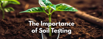 The Importance of Soil Testing