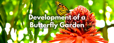 Development of a Butterfly Garden