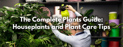 The Complete   Plants Guide: Houseplants and Plant Care Tips