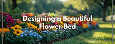 Designing a Beautiful Flower Bed