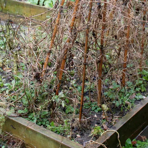 Gardening Implements