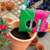 Miracle-Gro® Peat Free Premium Azalea, Camellia & Rhododendron Ericaceous Compost