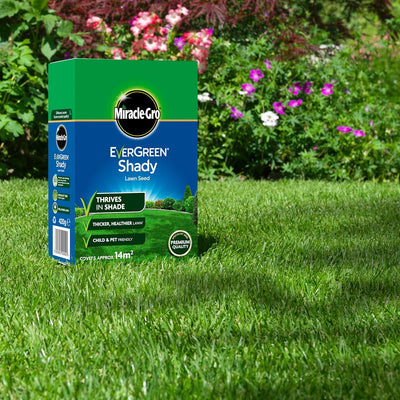 Miracle-Gro® EverGreen® Shady Lawn Seed