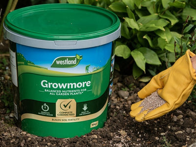 Westland® Growmore Garden Fertiliser 8kg