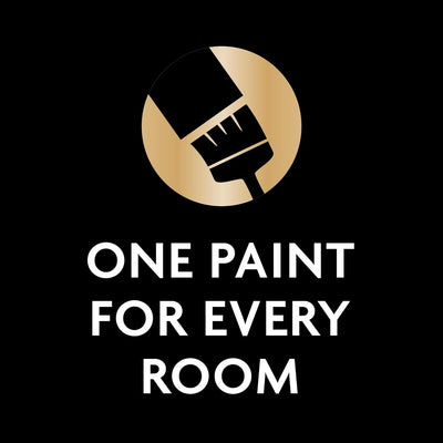 Ronseal One Coat Everywhere Paint Black Pepper Matt 2.5L