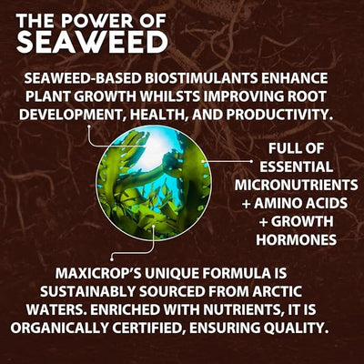 Maxicrop Organic Seaweed Plant Stimulant, 500ml