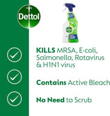 Dettol Mould & Mildew Remover Spray 750ml