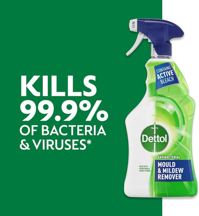 Dettol Mould & Mildew Remover Spray 750ml