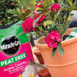 Miracle-Gro Peat Free Ericaceous Compost, 10L