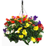 Doff® Container & Basket Flower Plant Food