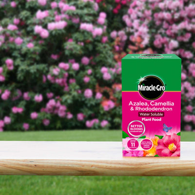 Miracle-Gro® Azalea, Camellia & Rhododendron Soluble Plant Food