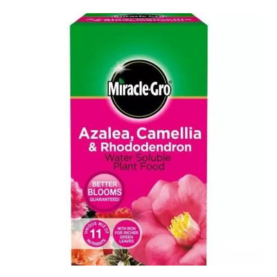 Miracle-Gro® Azalea, Camellia & Rhododendron Soluble Plant Food