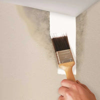 Ronseal® Anti Mould White Matt Paint – Durable & Mold-Resistant Finish