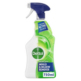 Dettol Mould & Mildew Remover Spray 750ml