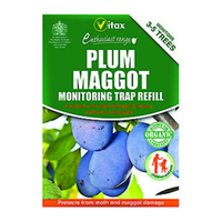 Plum Maggot Trap Refill – Single