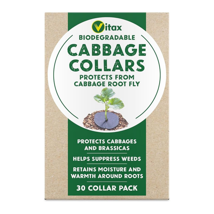 Vitax Cabbage Collars – Pack of 30