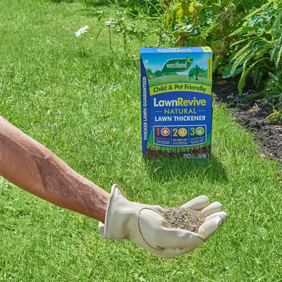 Westland® Lawn Revive Lawn Thickener