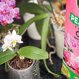 Miracle-Gro® Peat Free Orchid Compost 6L